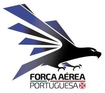 Força Aérea com ações de formação no concelho do Fundão